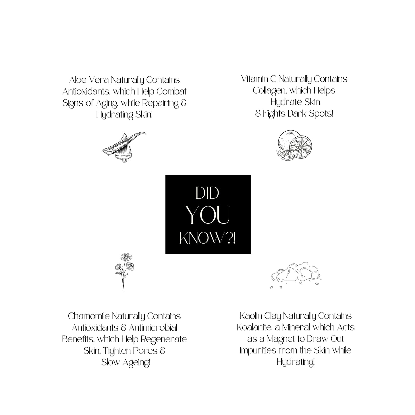 Did you know, aloe Vera facts for skincare, vitamin c facts for skincare, kaolin clay facts for skincare, chamomile facts for skincare,