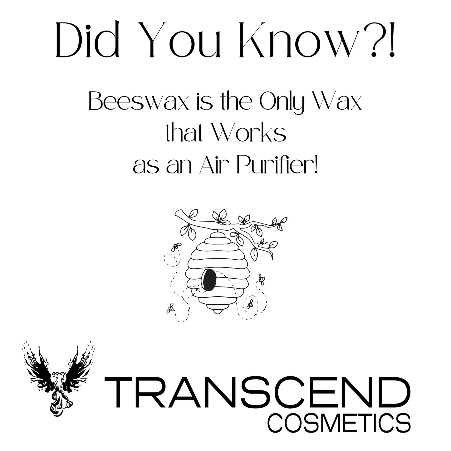 The image features an educational graphic titled "Did You Know?!" which explains the unique property of beeswax. It states that "Beeswax is the Only Wax that Works as an Air Purifier!" An illustration of a beehive with bees flying around it accompanies the text. The Transcend Cosmetics logo is displayed at the bottom of the graphic, reinforcing the brand identity.