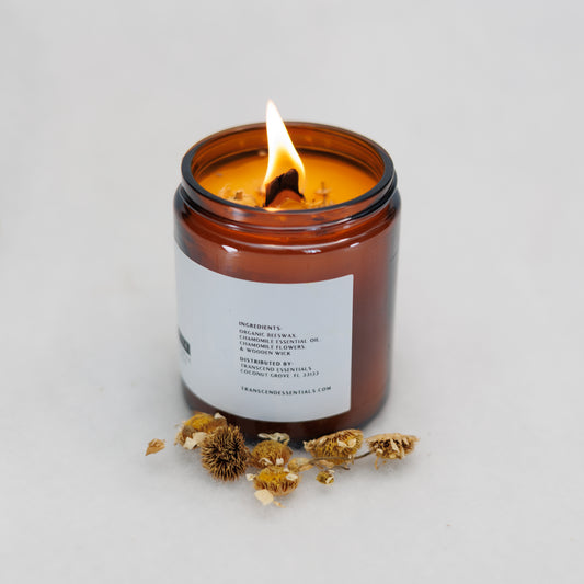 Calming Chamomile organic beeswax candle ingredient list by Transcend Essentials in amber glass jar with wooden wick, surrounded by dried chamomile flowers. Ingredient mentioned in order are (Organic Beeswax, Chamomile Essential Oil. Chamomile Flowers & a wooden wick). 