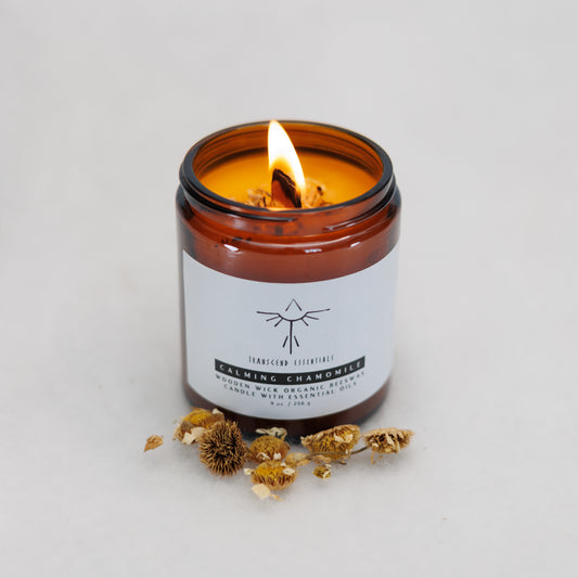Calming Chamomile organic beeswax candle by Transcend Essentials in amber glass jar with wooden wick, surrounded by dried chamomile flowers.