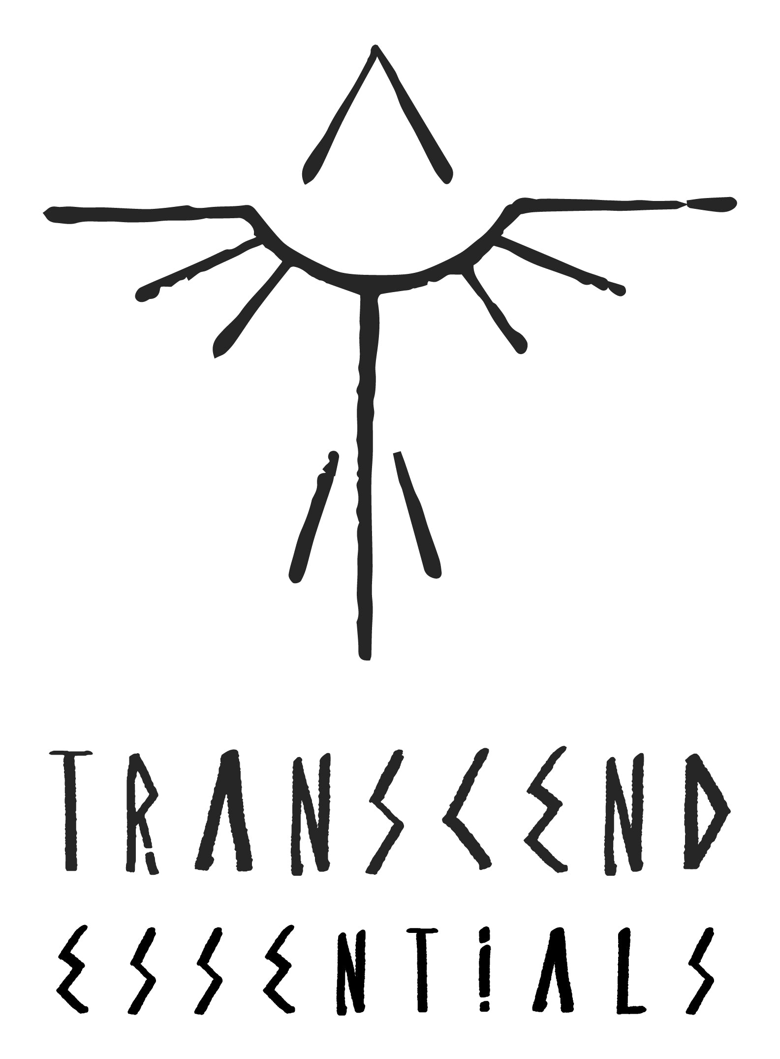 Transcend Cosmetics 
